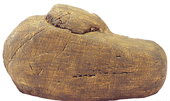 Grotta Reptile Den M HALVA PRISET!!! ord pris 347:-