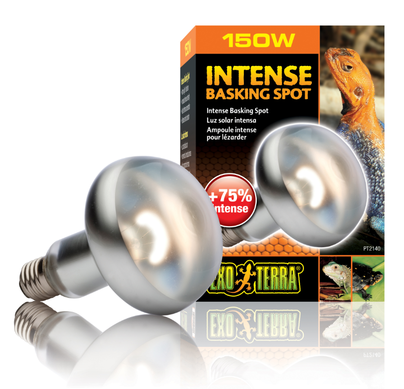 Intensiv Värmelampa 150W E27 Exoterra