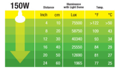 Intensiv Värmelampa 150W E27 Exoterra - 2