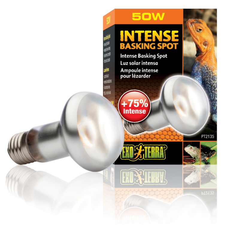 Intensiv Värmelampa 50W E27 Exoterra