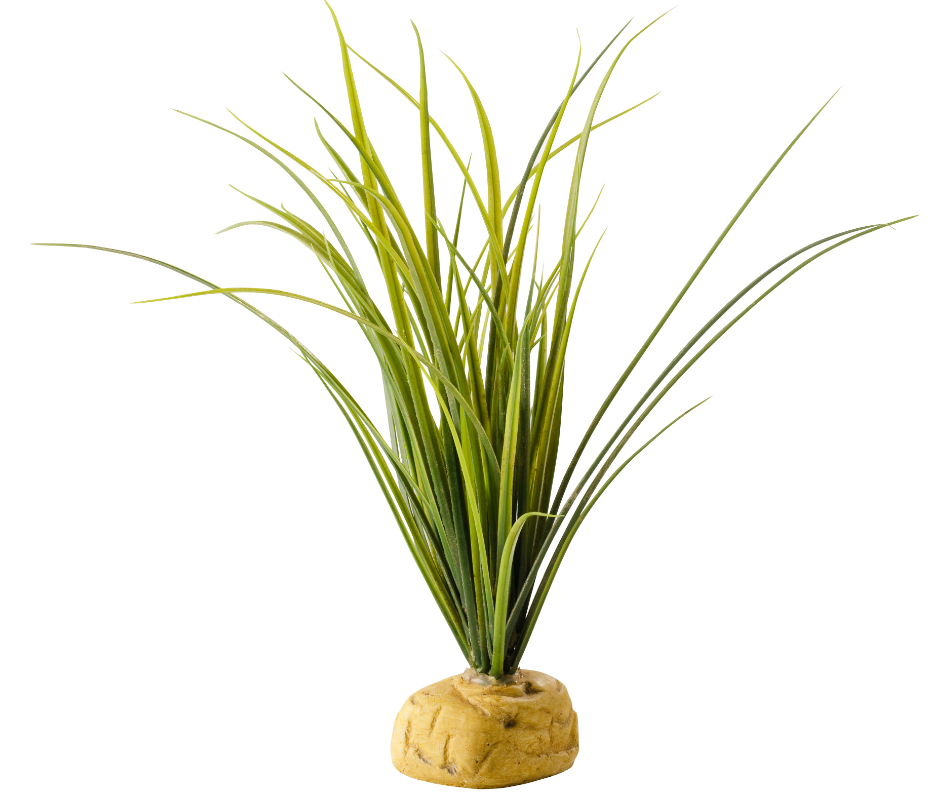 Turtle Grass Exoterra