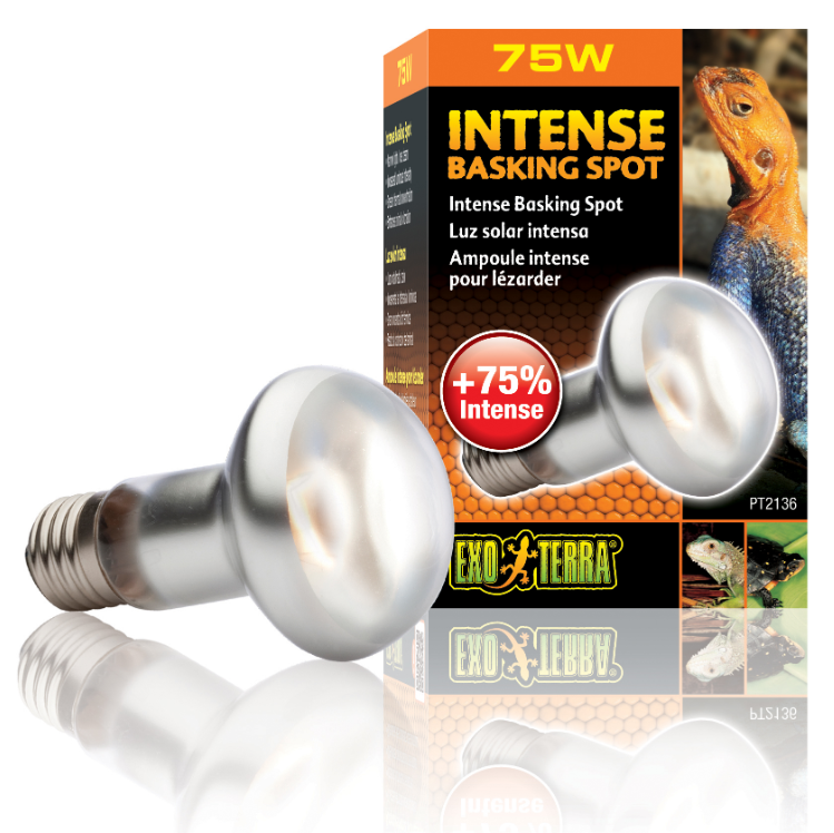 Intensiv Värmelampa 75W E27 Exoterra