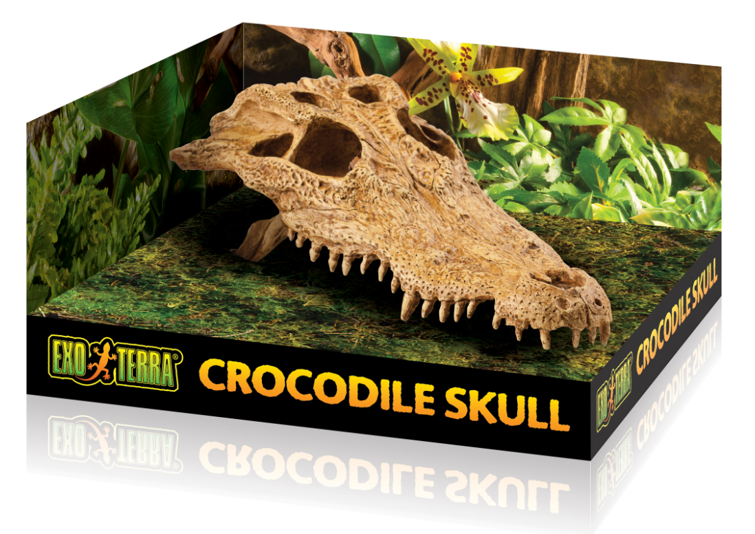 Grotta Krokodil Kranium  Exoterra