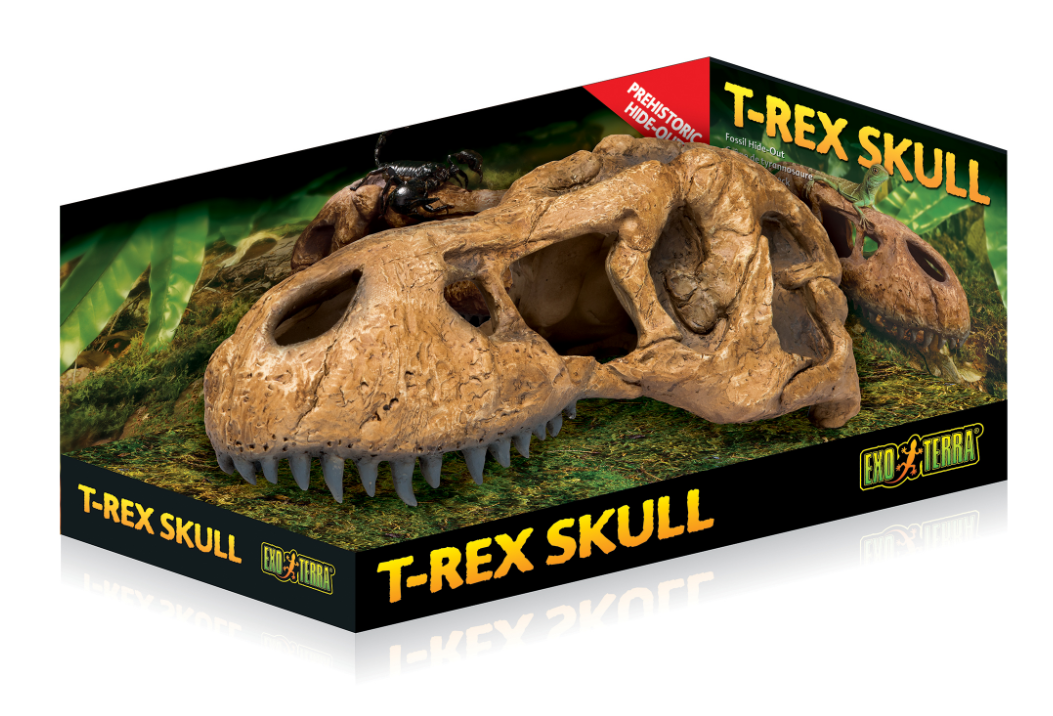 Grotta T-Rex Kranium  Exoterra