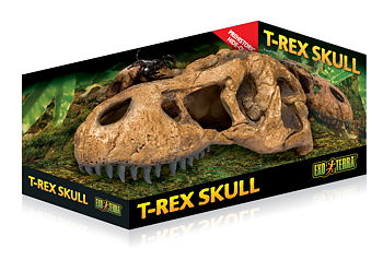 Grotta T-Rex Kranium  Exoterra