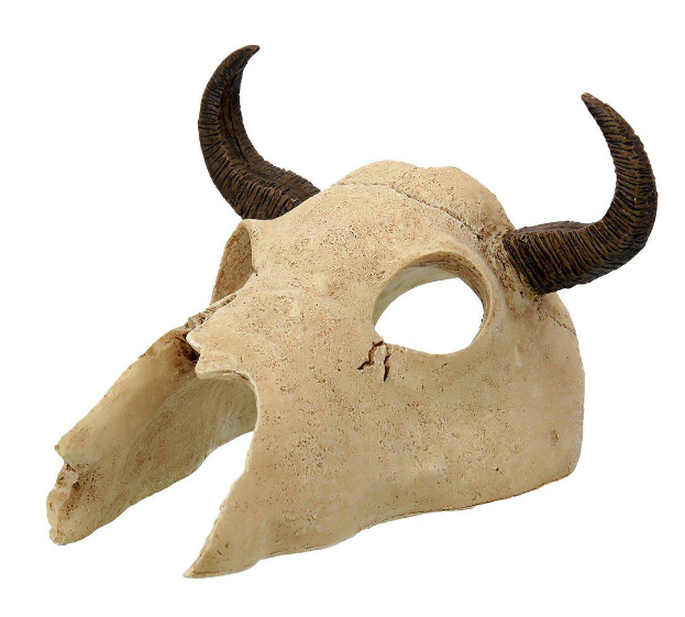 Buffel Skalle 12,5x11,8x8CM - 2