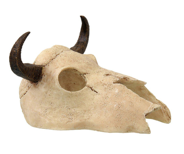 Buffel Skalle 12,5x11,8x8CM