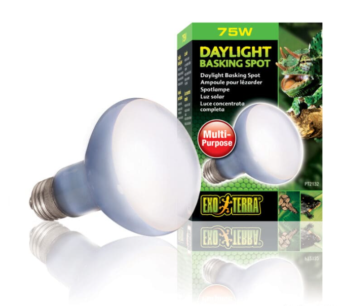 Daylight Värmelampa 75W E27 Exoterra