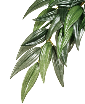 Rucus Large Exoterra