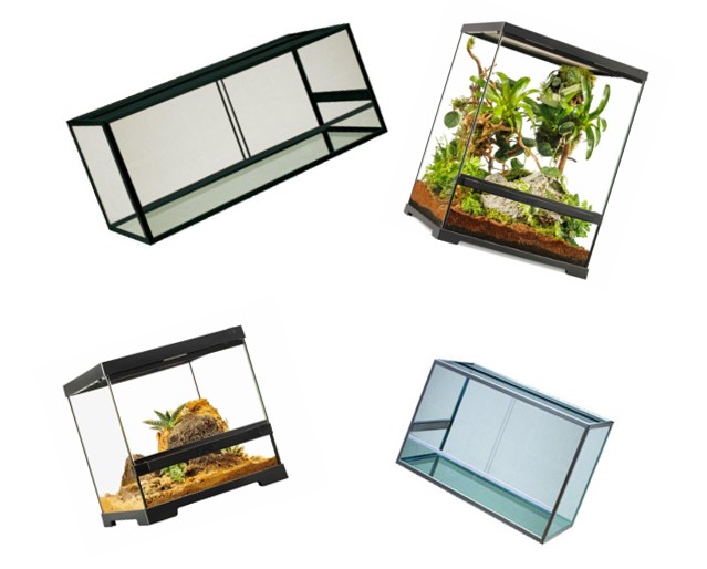 Beställ ditt nya terrarium här!  