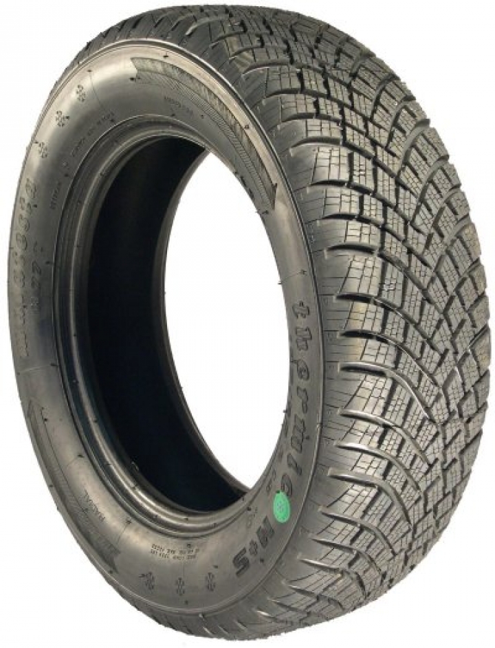 Malatesta Mud 195/65-15