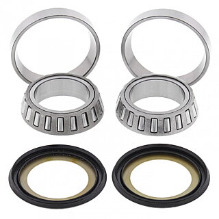 ALL BALLS - STYRLAGERSATS - Honda CRF 250 10-13/CRF 450 09-12