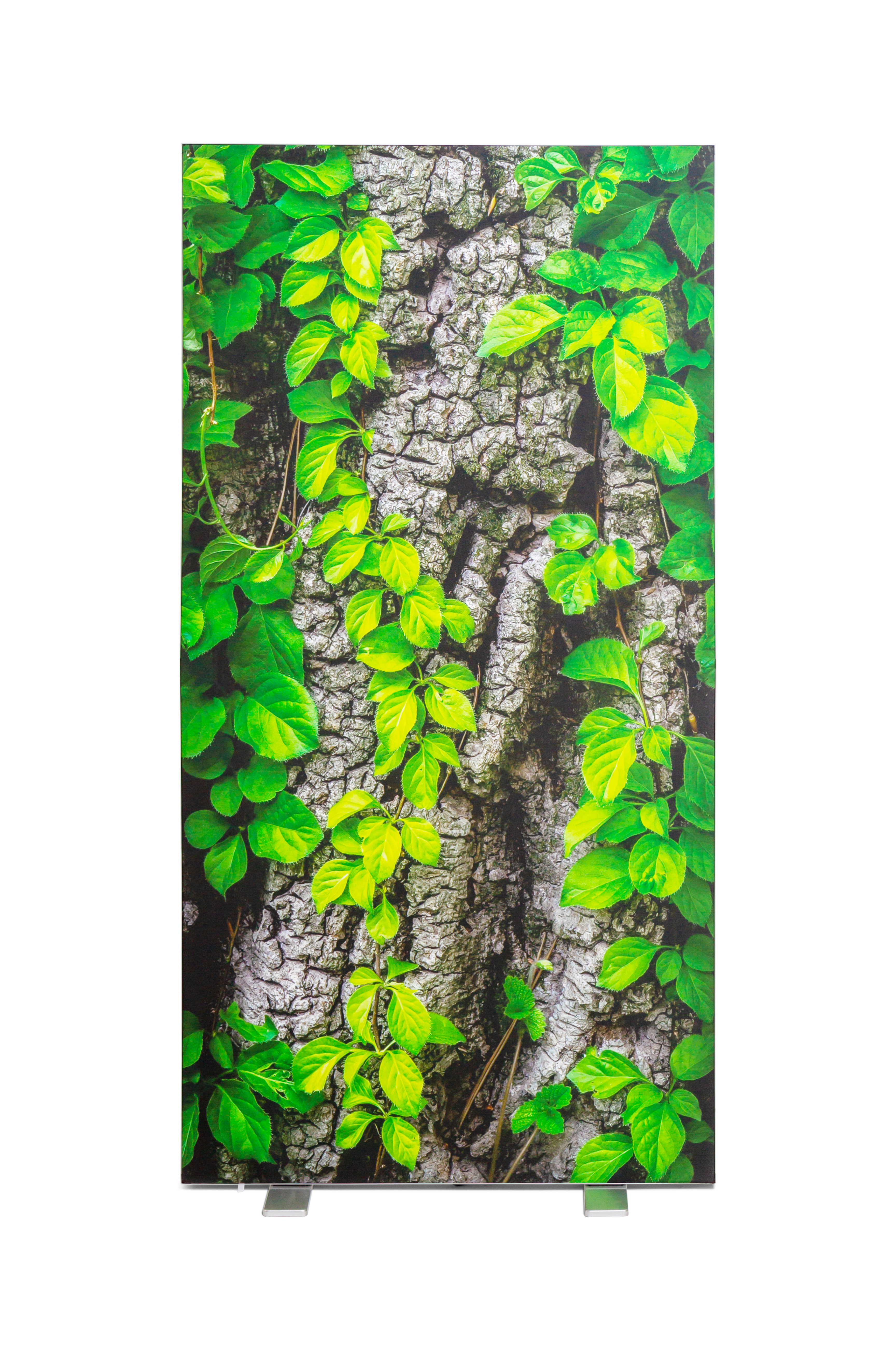 LightBox Portable Double-Sided, B 100 x H 200 cm - 10