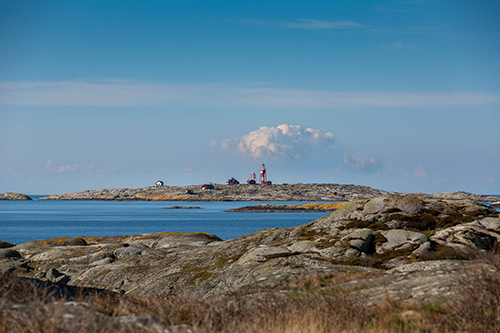 Måseskär