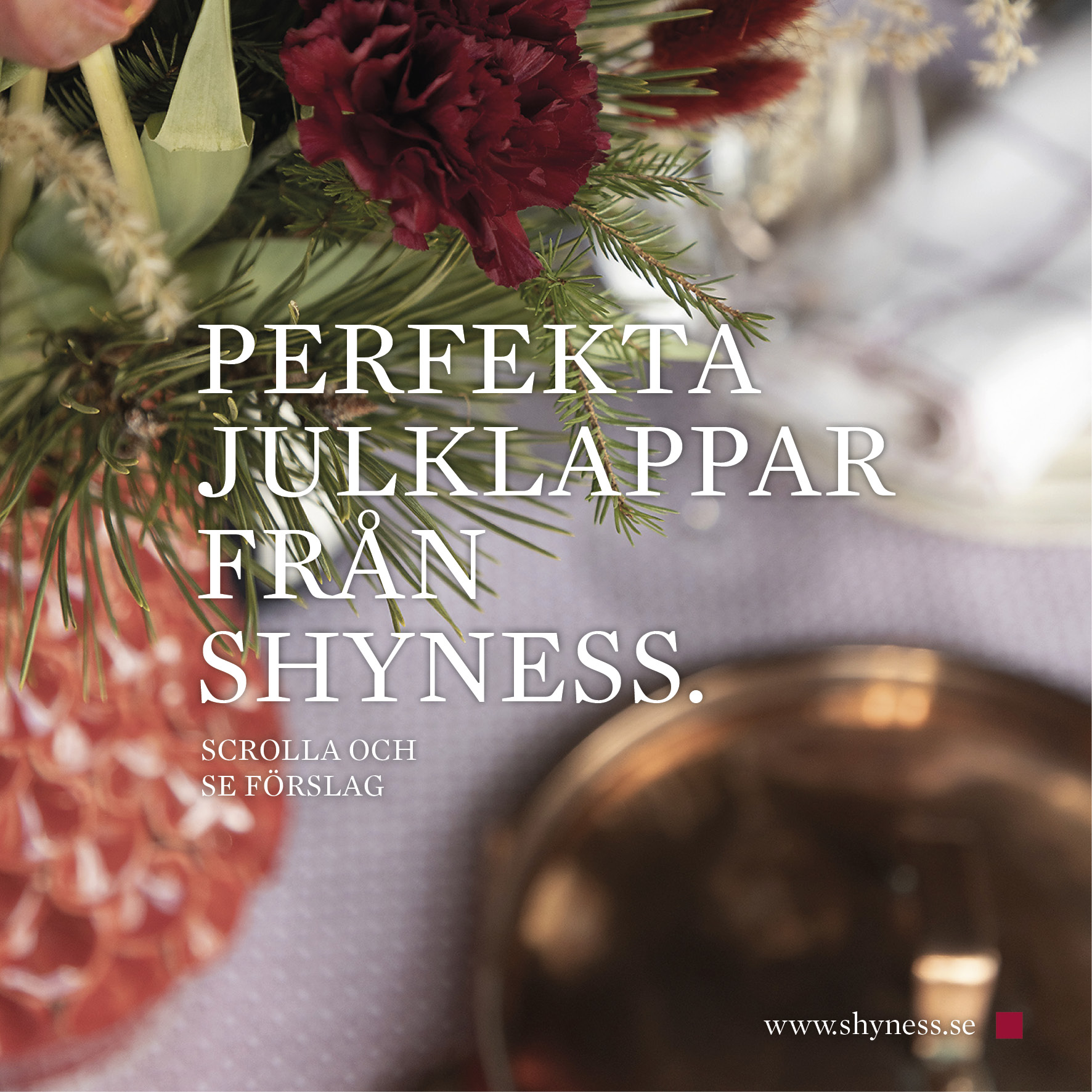 Julklappstips