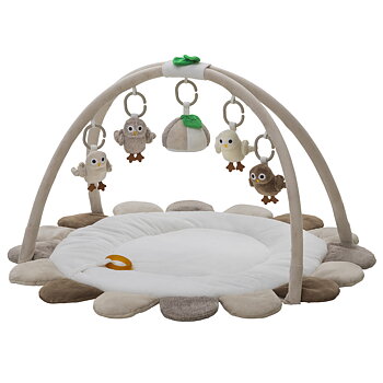 Rätt Start Babygym Owls