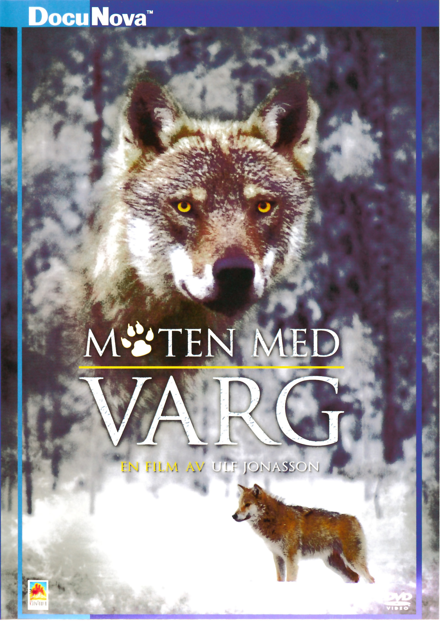 Varg - Möten med varg