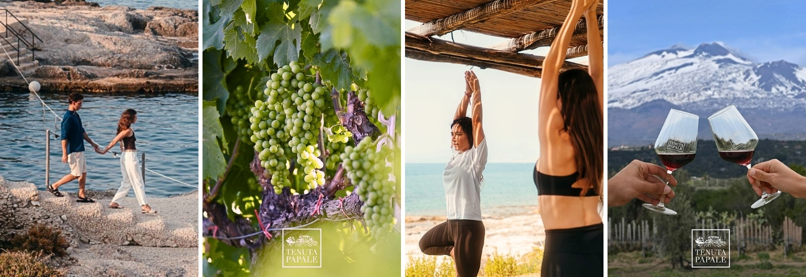 Par och grupper utför yoga, två händer med vin och vindruvor på vingård. 