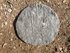 Runda sittunderlägg i ull av gotländska pälsfår. 