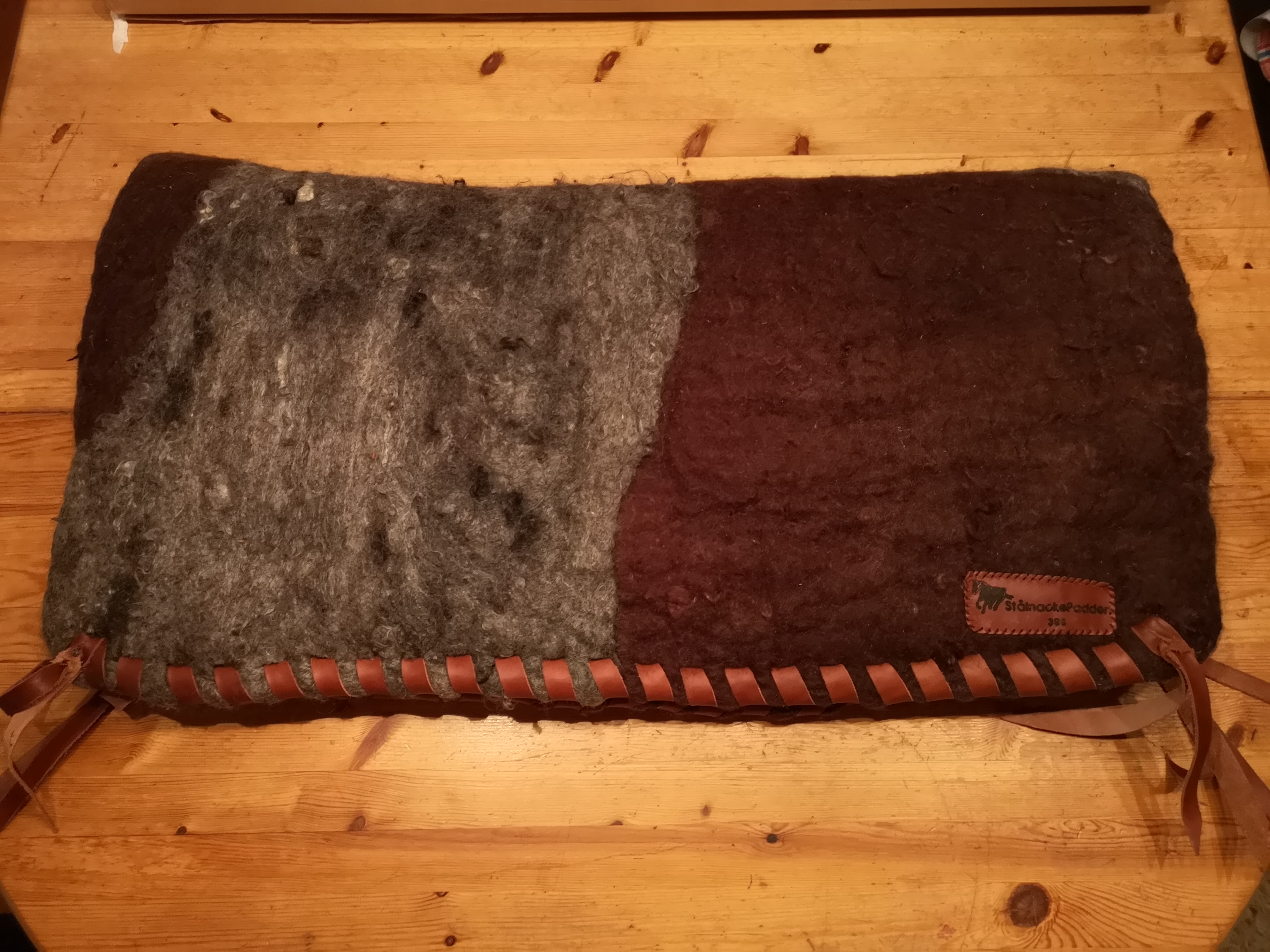 Kofläckig sadelpad