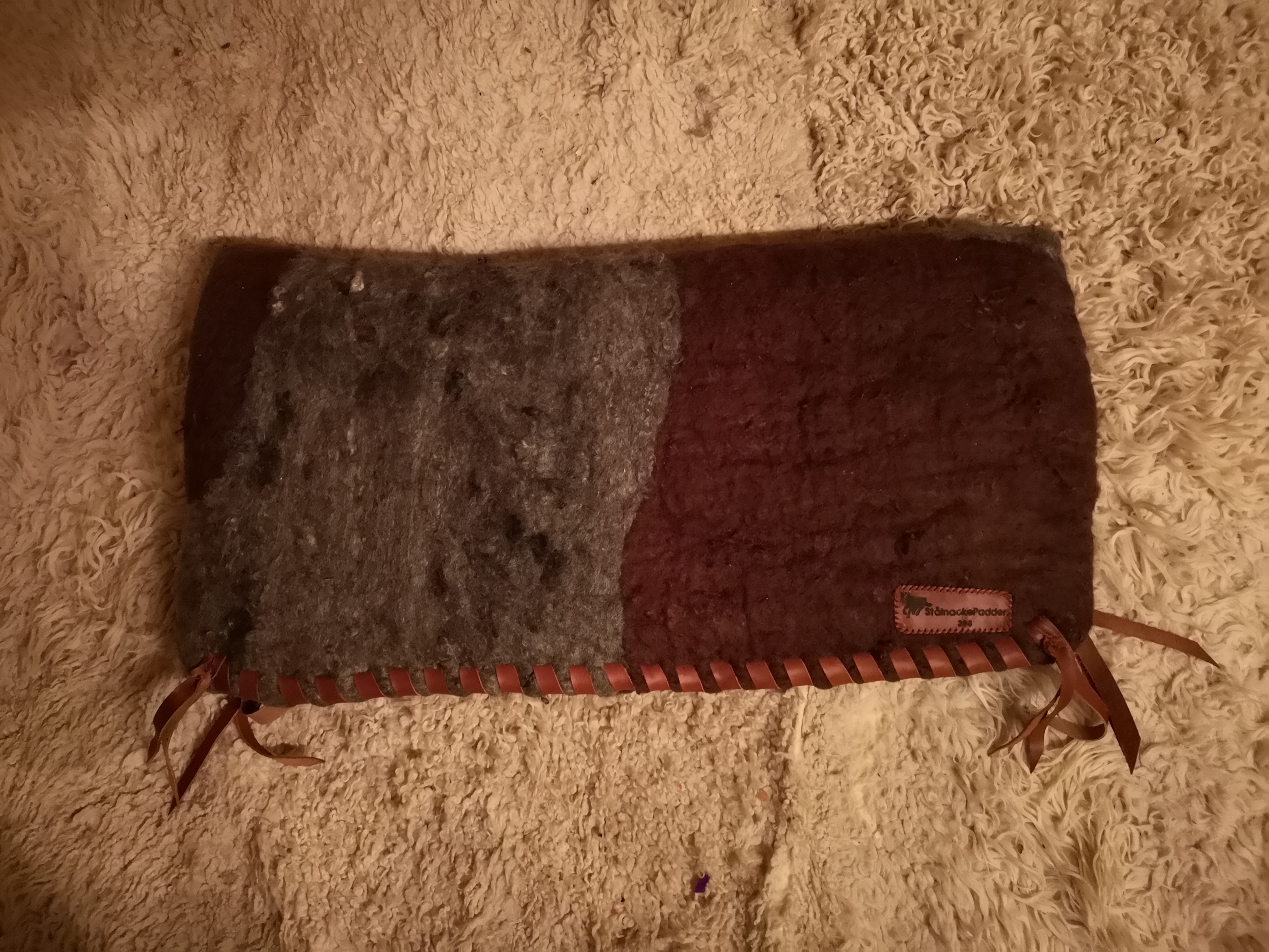 Kofläckig sadelpad