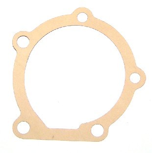 Vattenpumpspackning långnos