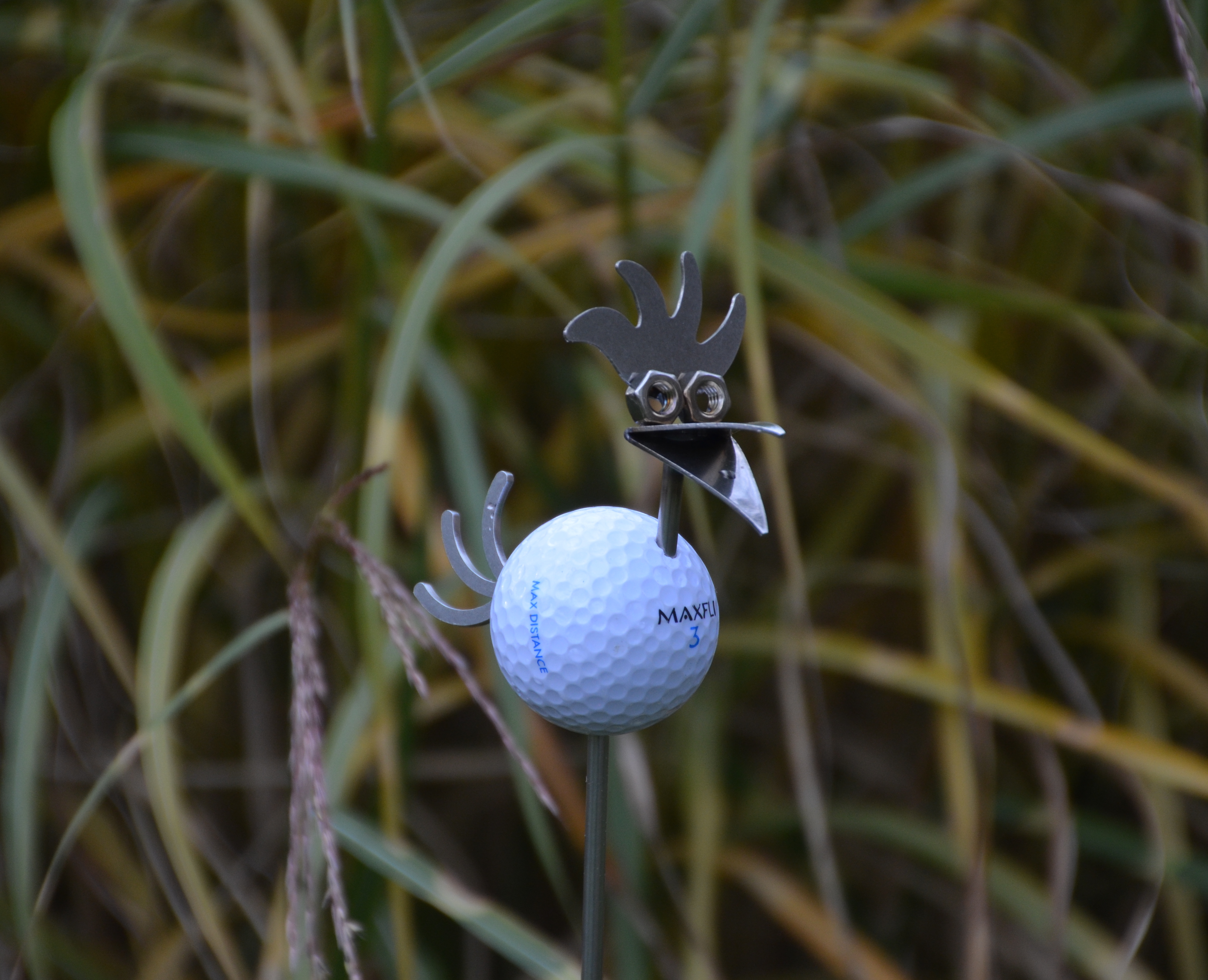 Golffågel Plymhår På Pinne