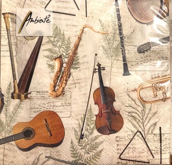 Servett 23 Instrument