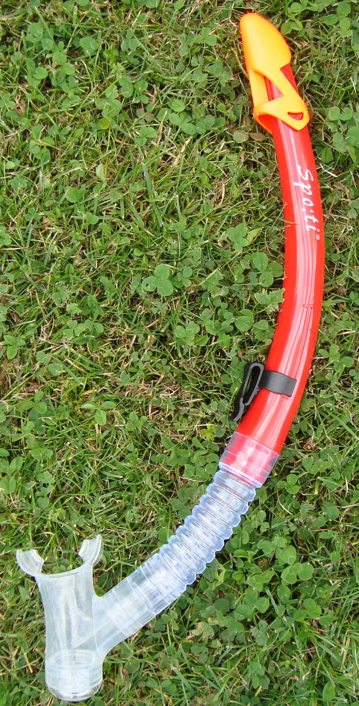 Snorkel - 4