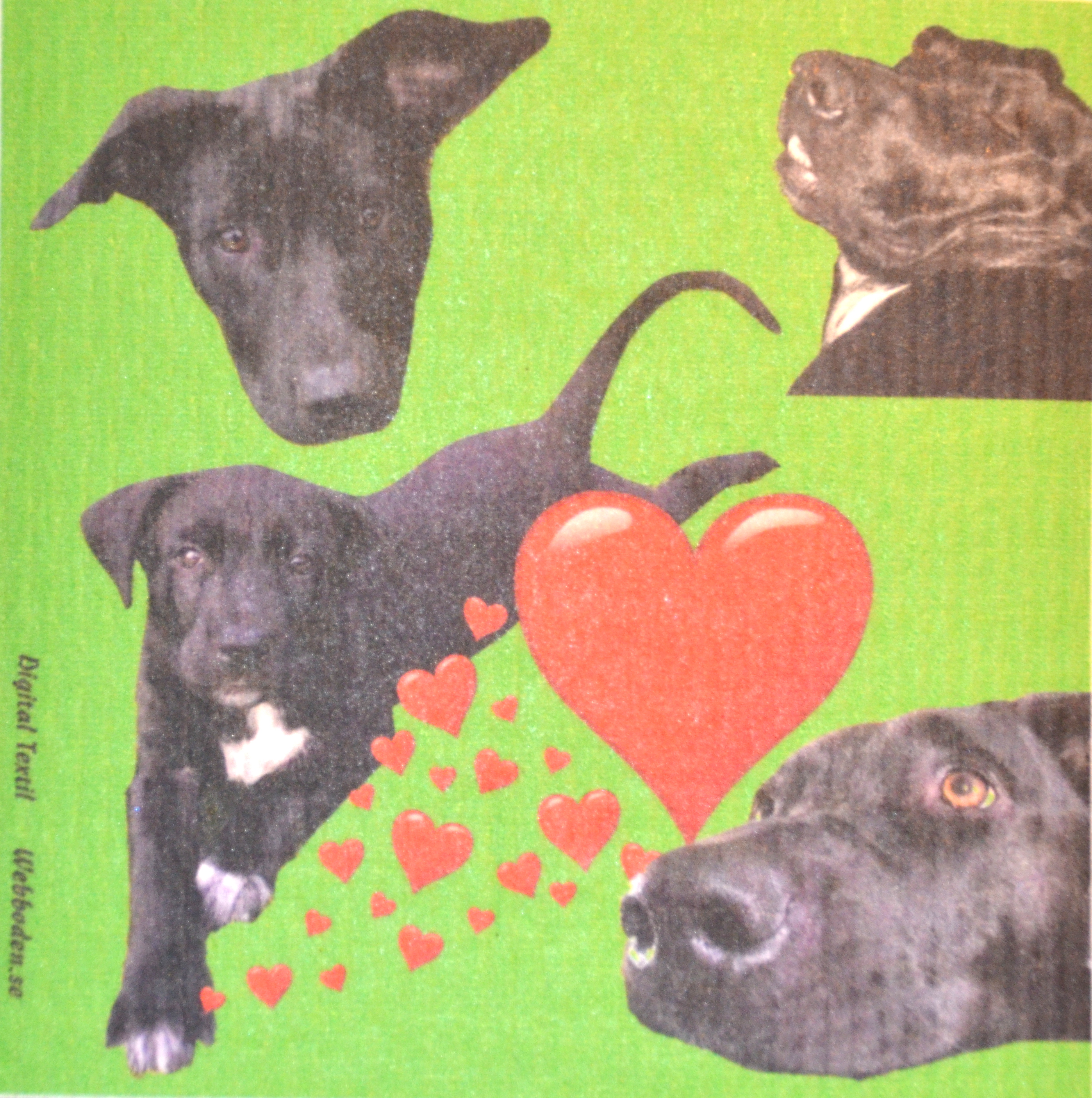 Disktrasa Svart Hund