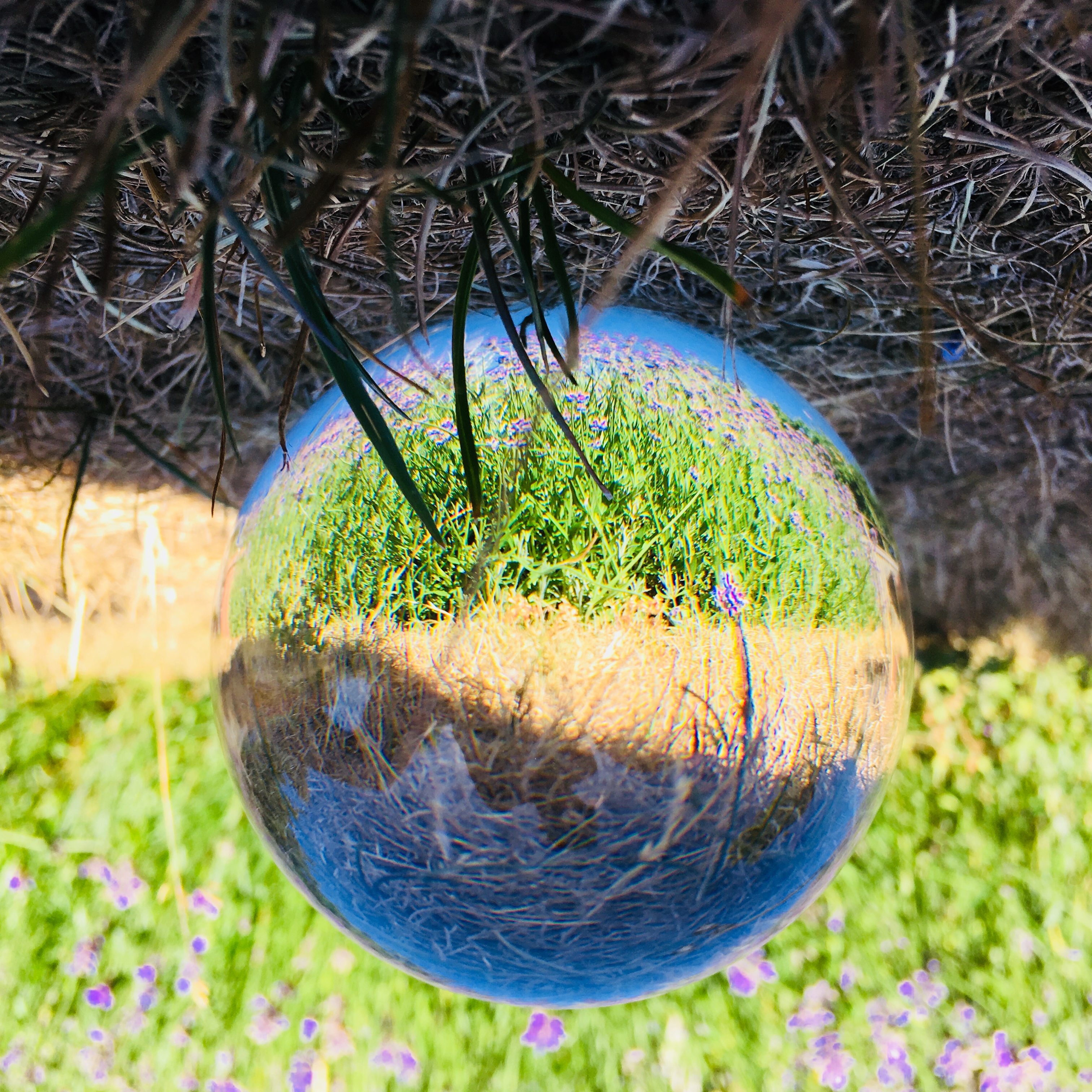 Glaskula Glasklar Bubbelfri 100 mm - 4