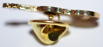 Pin Viola