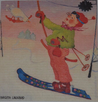 Disktrasa I Skidliften