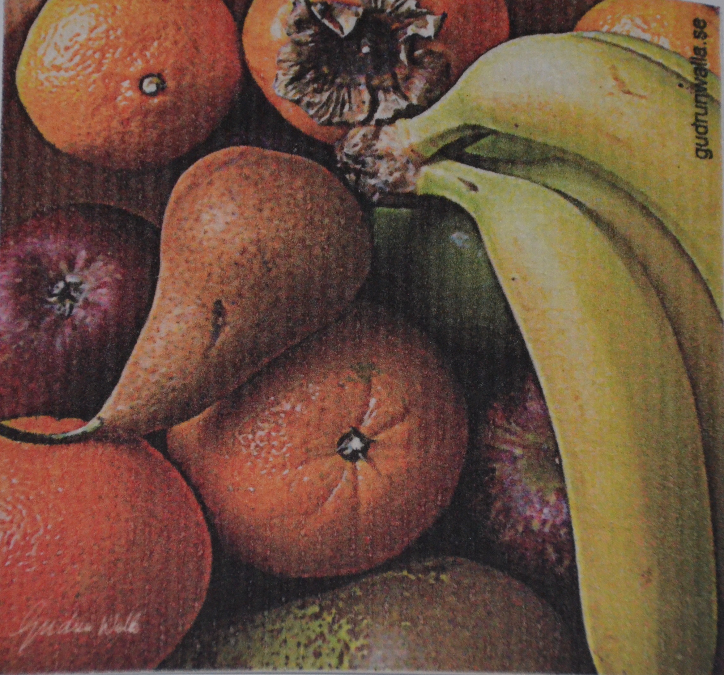 Disktrasa Fruktfat