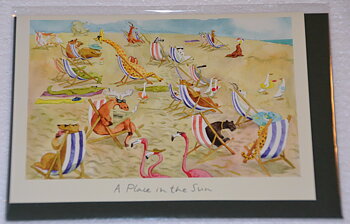 Kort A Place in the Sun