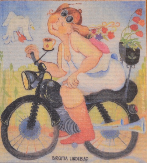 Disktrasa Moped