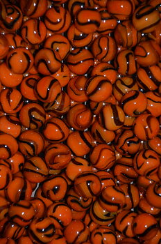 Spelkula Orange-Svart 16 mm