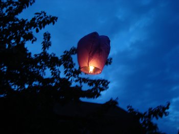 Kinesisk Flygande Lykta Lila