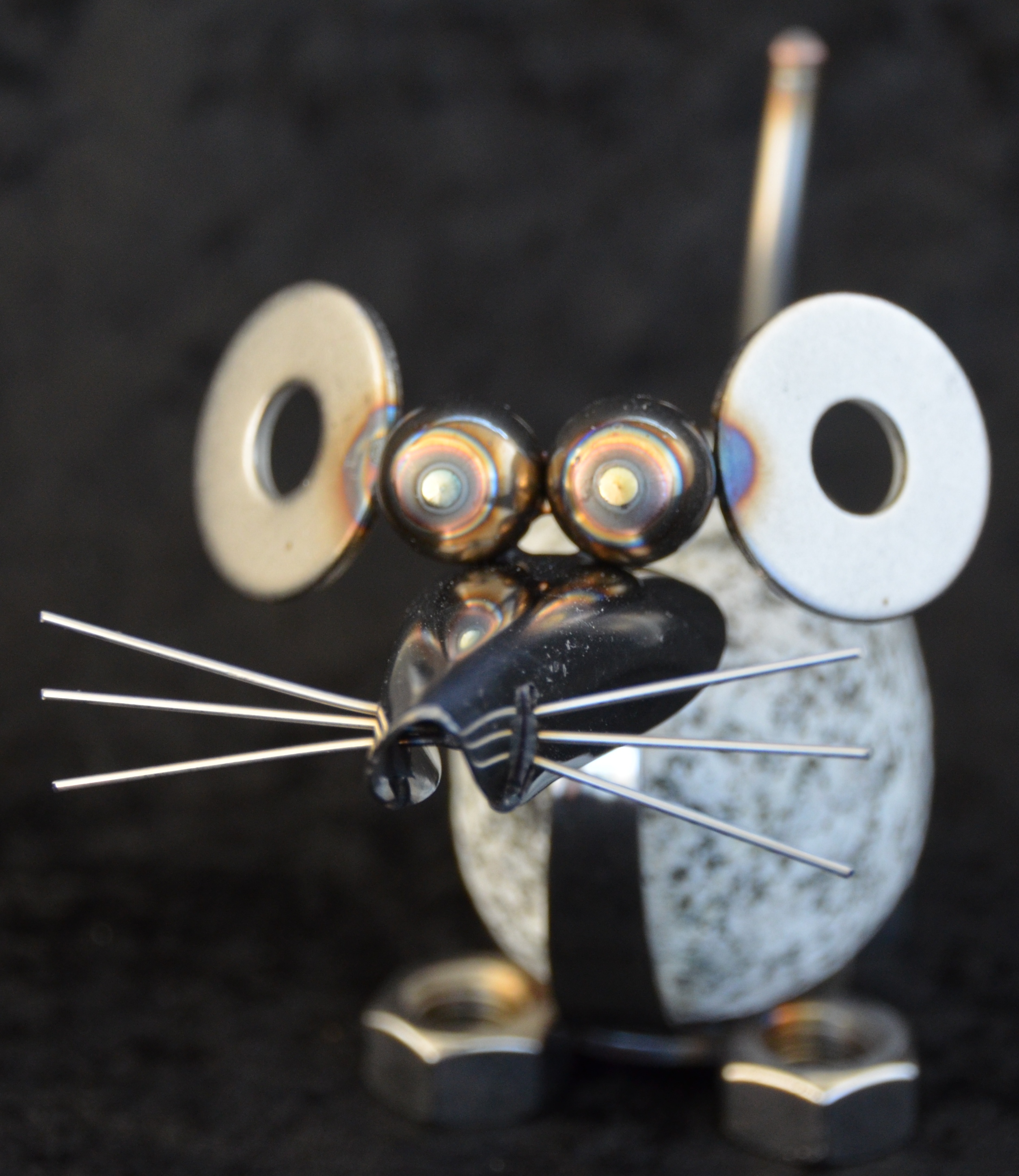 Stenmus