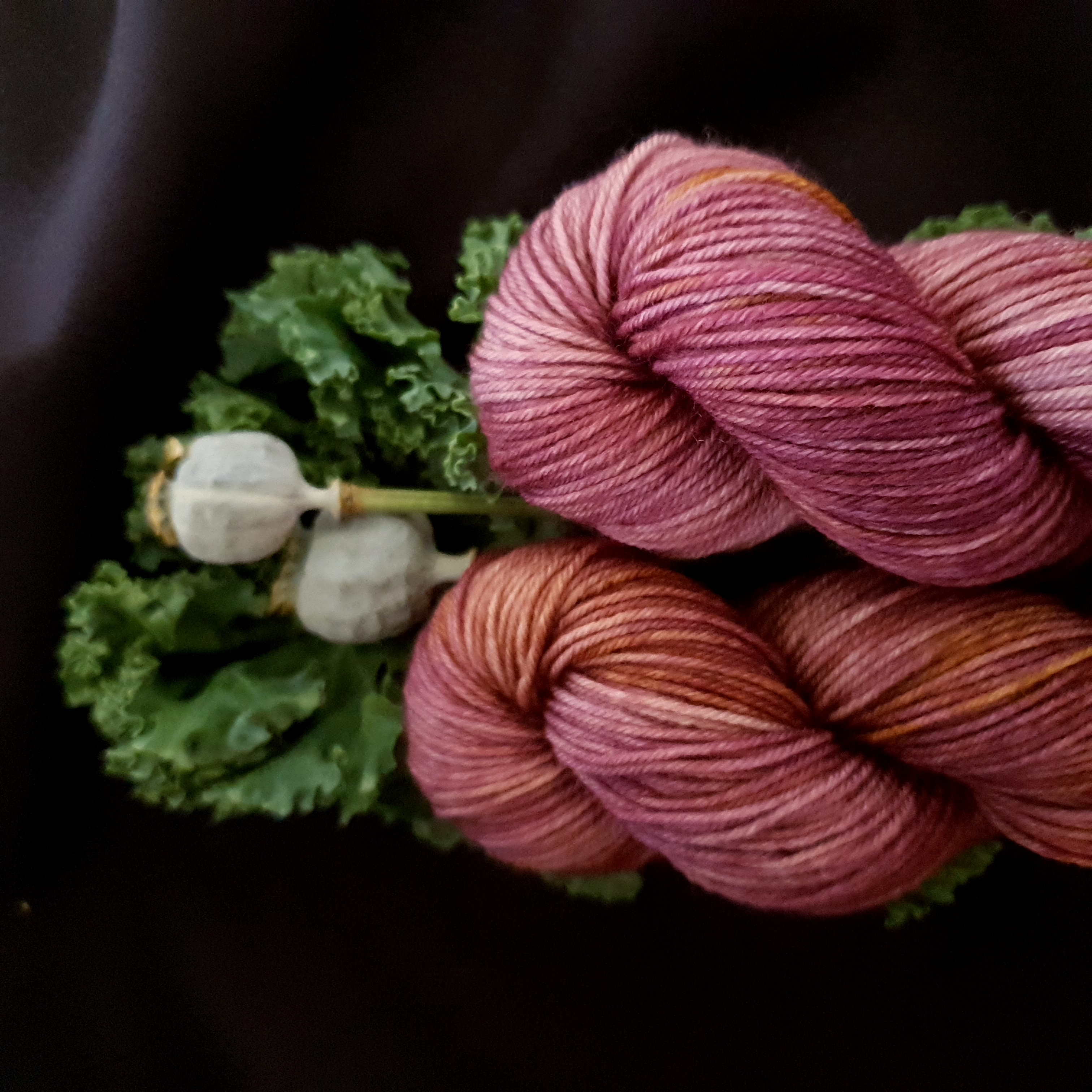 Handfärgat Sockgarn 50g  Ferocious Fig