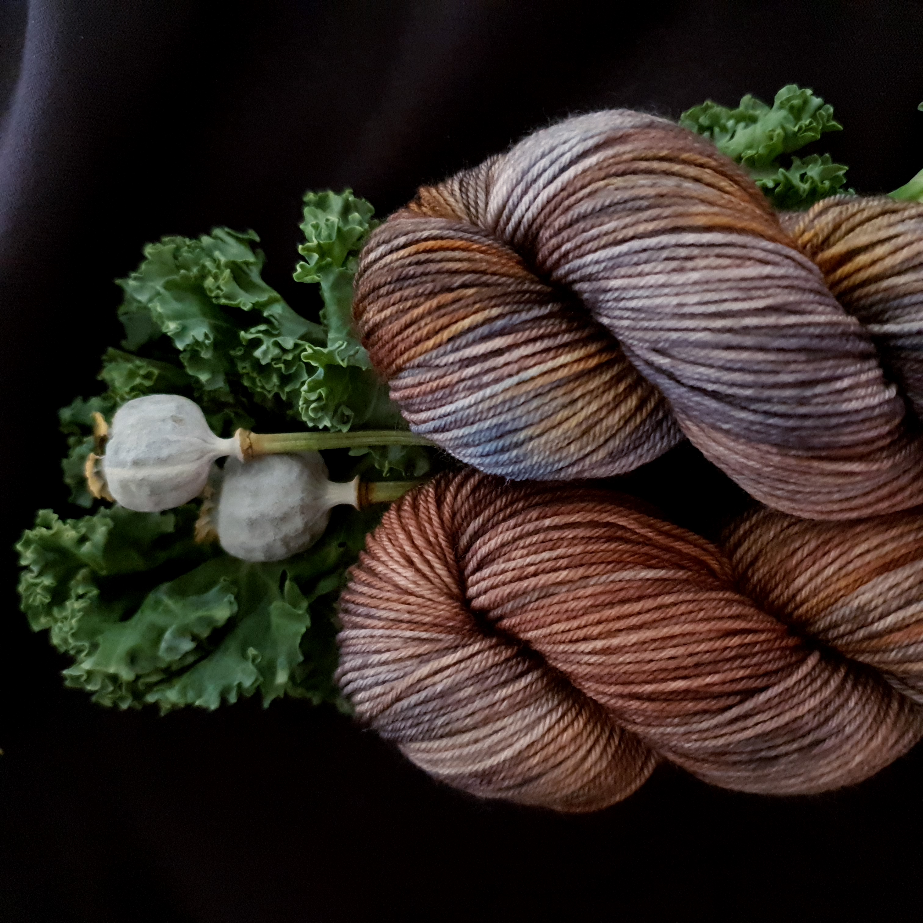 Handfärgat Sockgarn 50g  Saving Seeds