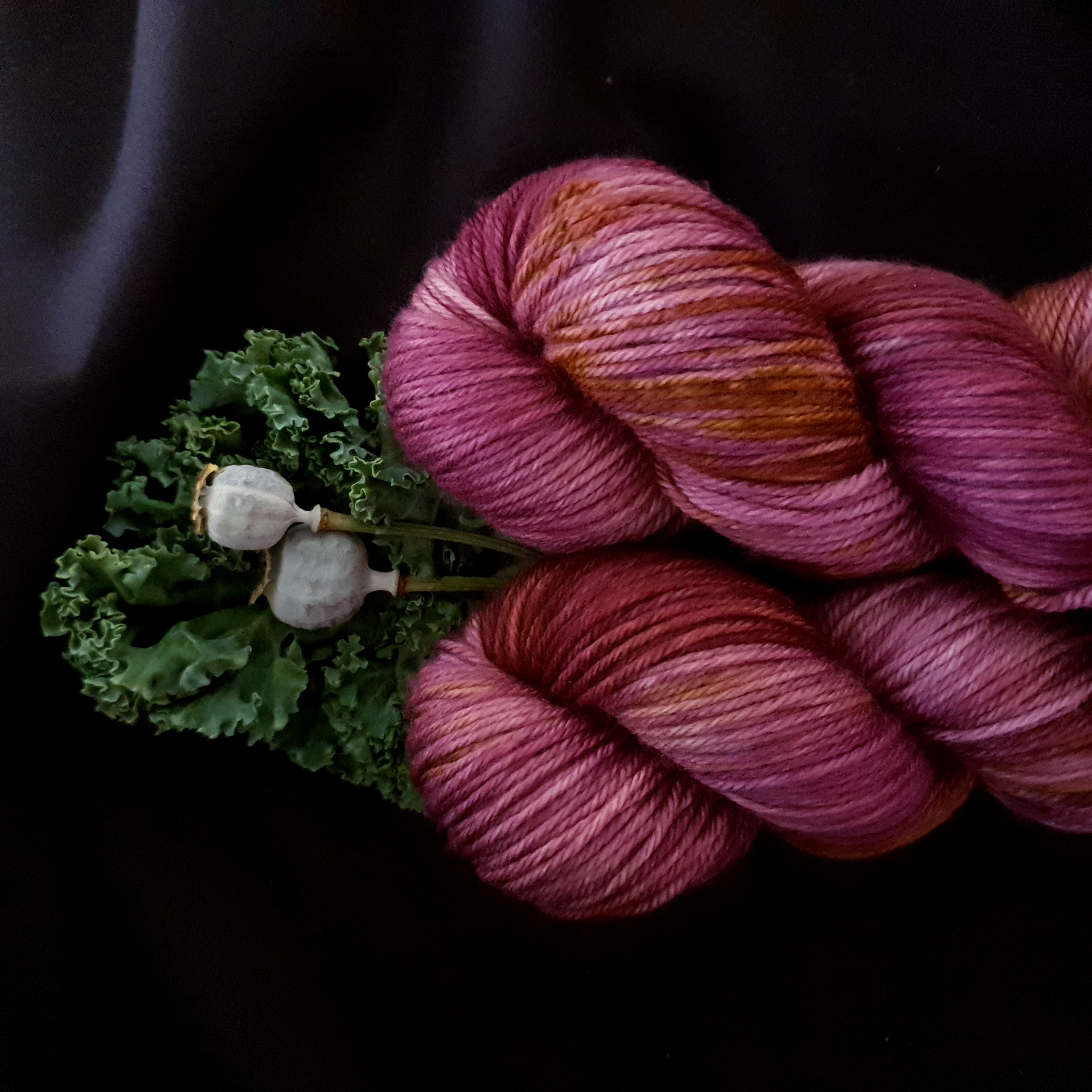 Merino DK 100g  Ferocious Fig
