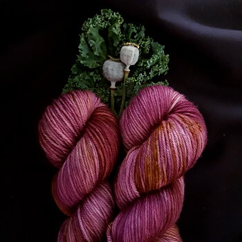 Merino DK 100g  Ferocious Fig