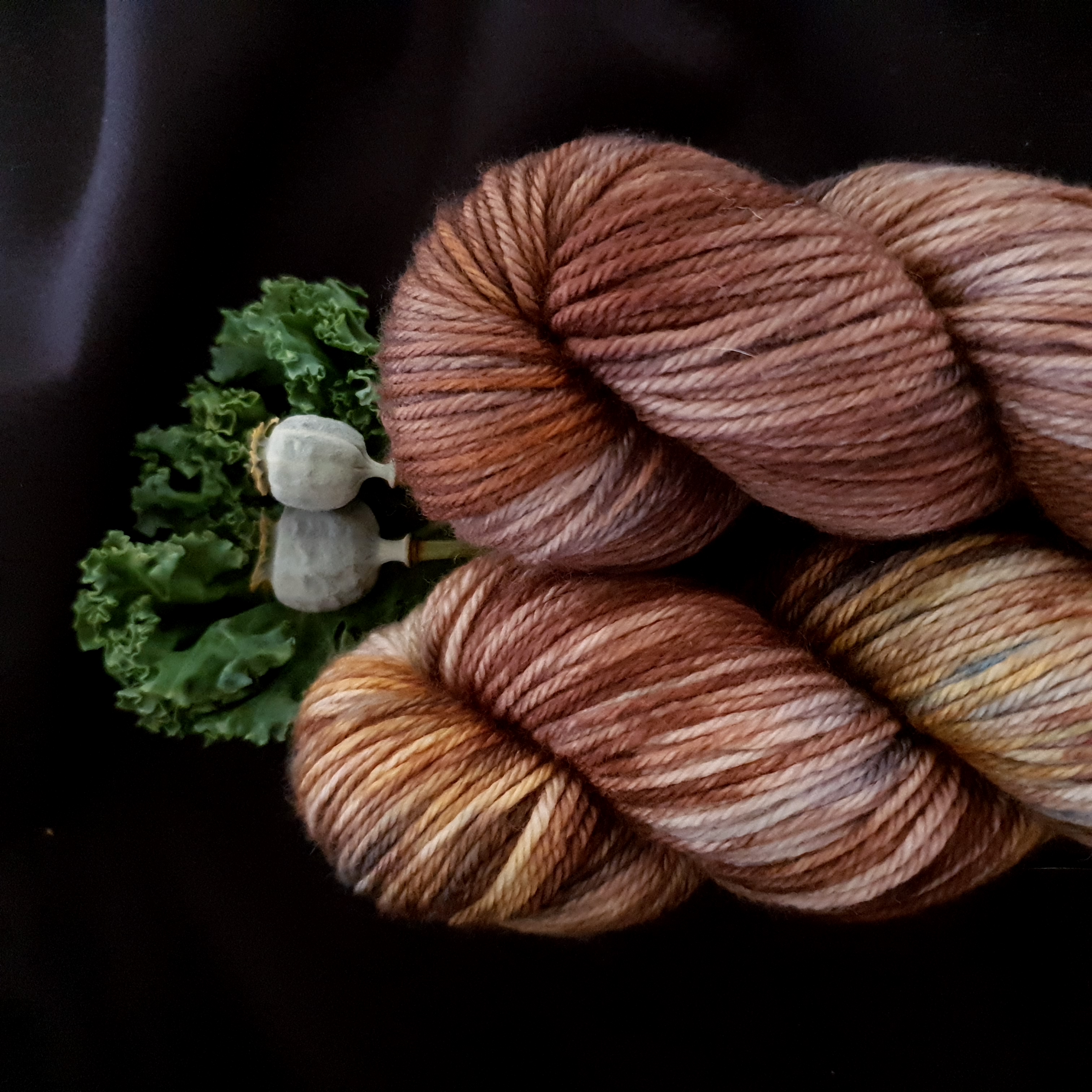 Merino DK 100g  Saving Seeds