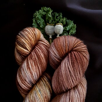 Merino DK 100g  Saving Seeds
