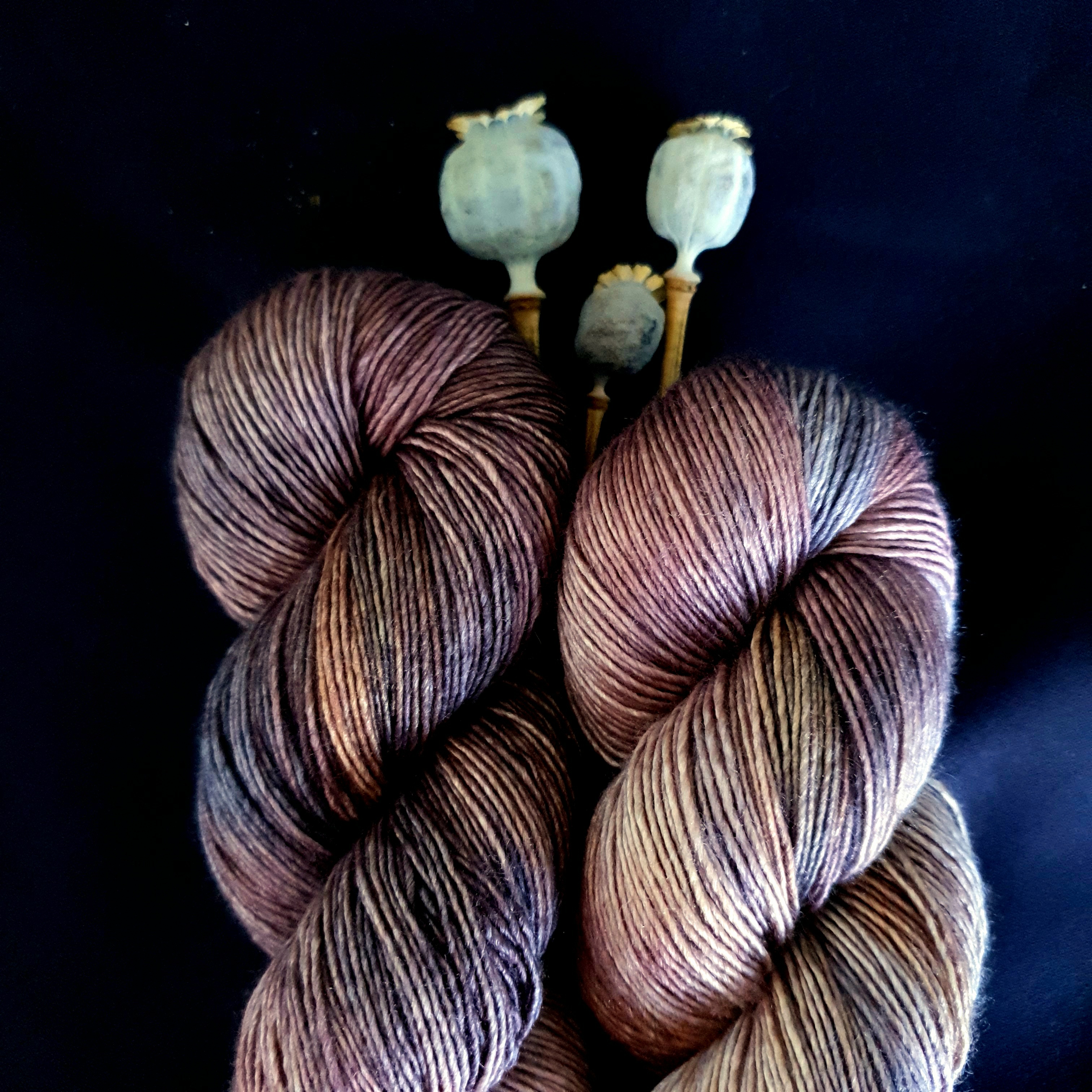 Emelilyknits Dreamy Silk 100g Saving Seeds