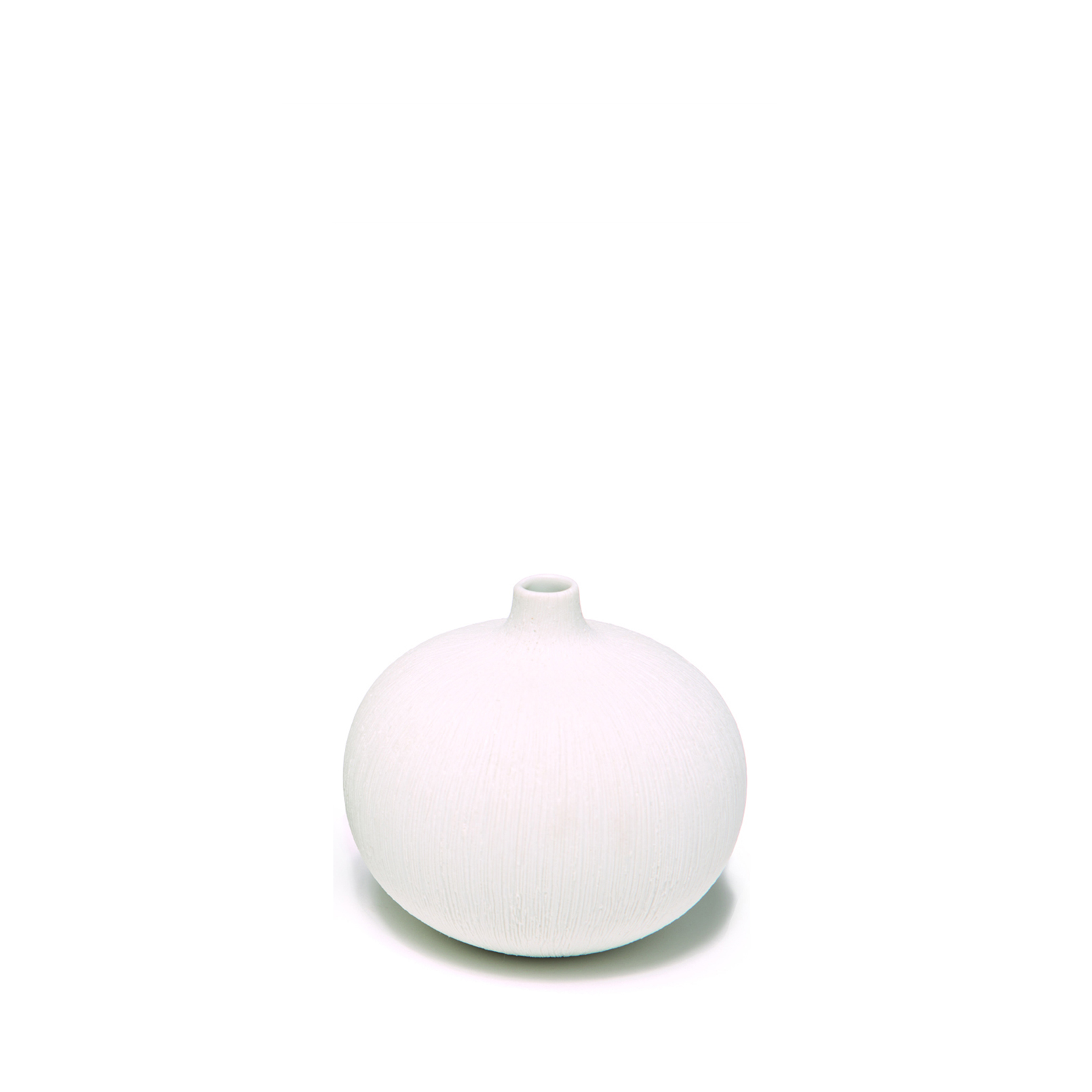 Bari small White