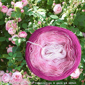 LoLa YarnCake BautaWitch Special, Rosenträdgård (750 m)