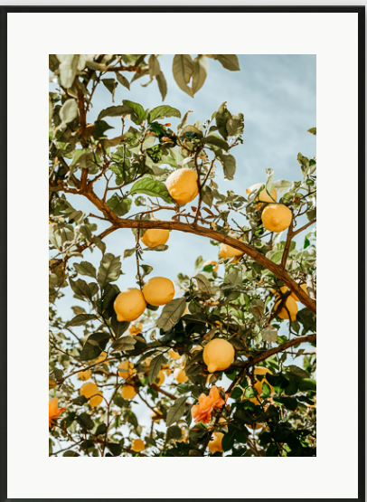 Tavla Lemon tree inkl. ram
