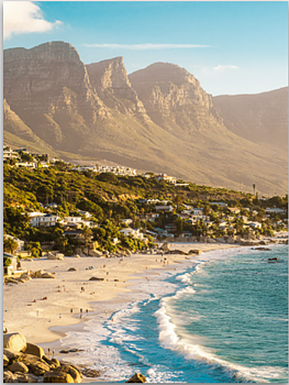 Tavla Cape Town inkl. ram